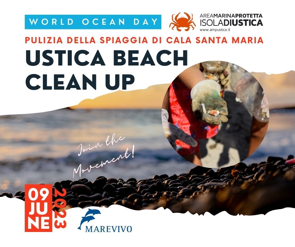 Ustica  Beach Clean Up