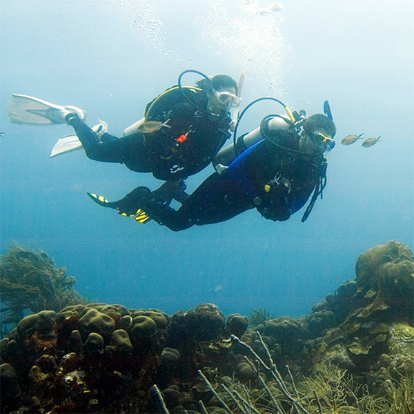 Online - Deep Diver